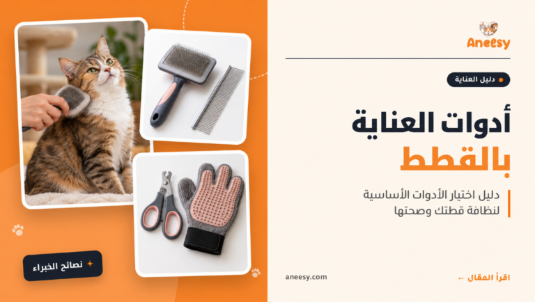 ادوات العناية بالقطط