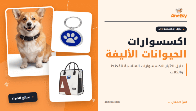 اكسسوارات الحيوانات الاليفة