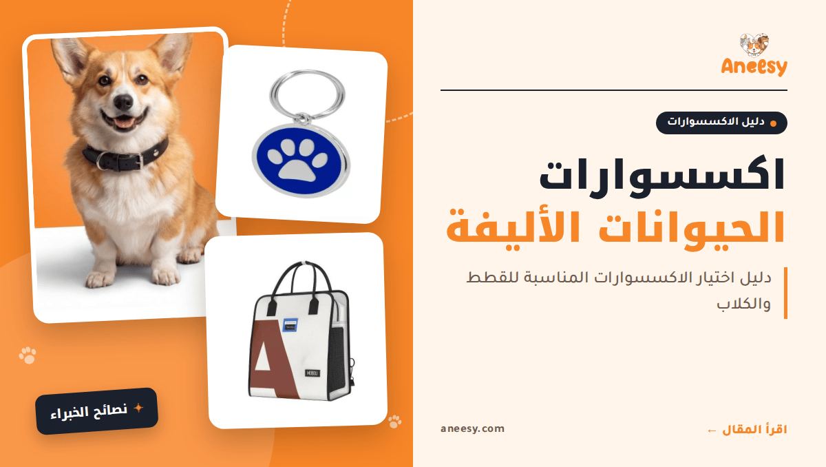 منتجات الحيوانات الأليفة